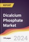 Dicalcium Phosphate Market Report: Trends, Forecast and Competitive Analysis to 2030 - Product Thumbnail Image