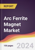 Arc Ferrite Magnet Market Report: Trends, Forecast and Competitive Analysis to 2030- Product Image