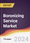 Boronizing Service Market Report: Trends, Forecast and Competitive Analysis to 2030 - Product Thumbnail Image