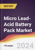 Micro Lead-Acid Battery Pack Market Report: Trends, Forecast and Competitive Analysis to 2030- Product Image