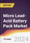 Micro Lead-Acid Battery Pack Market Report: Trends, Forecast and Competitive Analysis to 2030 - Product Image