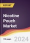 Nicotine Pouch Market Report: Trends, Forecast and Competitive Analysis to 2030 - Product Image