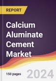 Calcium Aluminate Cement Market Report: Trends, Forecast and Competitive Analysis to 2030- Product Image