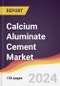 Calcium Aluminate Cement Market Report: Trends, Forecast and Competitive Analysis to 2030 - Product Image