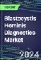 Blastocystis Hominis Diagnostics Market 2024: US, Europe, Japan - Supplier Shares, Sales Segment Forecasts, Innovative Technologies and Tests, Competitive Profiles and Strategies - Product Thumbnail Image