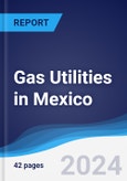 Gas Utilities in Mexico- Product Image