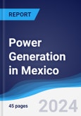 Power Generation in Mexico- Product Image