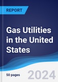 Gas Utilities in the United States- Product Image