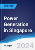 Power Generation in Singapore- Product Image