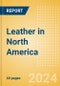 Leather in North America - Product Image