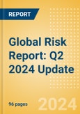 Global Risk Report: Q2 2024 Update- Product Image