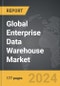 Enterprise Data Warehouse (EDW) - Global Strategic Business Report - Product Image