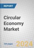 Circular Economy: A Global Outlook- Product Image