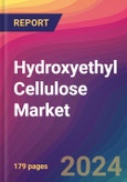 Hydroxyethyl Cellulose Market Size, Market Share, Application Analysis, Regional Outlook, Growth Trends, Key Players, Competitive Strategies and Forecasts, 2024 To 2032- Product Image