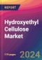 Hydroxyethyl Cellulose Market Size, Market Share, Application Analysis, Regional Outlook, Growth Trends, Key Players, Competitive Strategies and Forecasts, 2024 To 2032 - Product Image