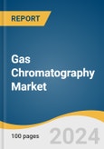 Gas Chromatography Market Size, Share & Trends Analysis Report By Product (Accessories & Consumables, Instruments), By End-use, By Region, And Segment Forecasts, 2024 - 2030- Product Image