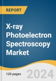 X-ray Photoelectron Spectroscopy Market Size, Share & Trends Analysis Report By Usage (By Element Detection, Contamination Detection), By Application (Healthcare), By Region, And Segment Forecasts, 2024 - 2030- Product Image