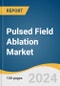 Pulsed Field Ablation Market Size, Share & Trends Analysis Report By Components (Catheters, Generators), By Indication (Atrial Fibrillation, Non-atrial Fibrillation), By End-use, By Region, And Segment Forecasts, 2024 - 2030 - Product Thumbnail Image