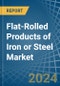 Flat-Rolled Products of Iron or Steel (Not Further Worked than Hot-Rolled) - Market Analysis, Forecast, Size, Trends and Insights - Product Image