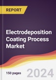 Electrodeposition Coating Process Market Report: Trends, Forecast and Competitive Analysis to 2030- Product Image