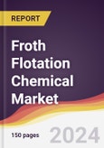 Froth Flotation Chemical Market Report: Trends, Forecast and Competitive Analysis to 2030- Product Image