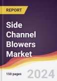 Side Channel Blowers Market Report: Trends, Forecast and Competitive Analysis to 2030- Product Image