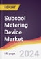 Subcool Metering Device Market Report: Trends, Forecast and Competitive Analysis to 2030 - Product Image