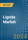 Lignite - Market Analysis, Forecast, Size, Trends and Insights- Product Image