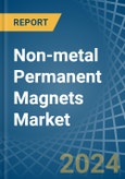 Non-metal Permanent Magnets - Market Analysis, Forecast, Size, Trends and Insights- Product Image