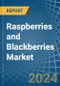 Raspberries and Blackberries - Market Analysis, Forecast, Size, Trends and Insights - Product Thumbnail Image