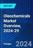 Oleochemicals Market Overview, 2024-29- Product Image