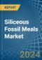 Siliceous Fossil Meals (Kieselguhr, Tripolite and Diatomite) - Market Analysis, Forecast, Size, Trends and Insights - Product Image