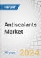 Antiscalants Market by Type, Application (Power & Construction, Oil & Gas, Mining, Municipal Water Treatment & Desalination, Food & Beverage, Chemical & Pharmaceutical, Pulp & Paper), Process Type, & Region - Global Forecast to 2029 - Product Image