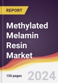 Methylated Melamin Resin Market Report: Trends, Forecast and Competitive Analysis to 2030- Product Image