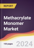 Methacrylate Monomer Market Report: Trends, Forecast and Competitive Analysis to 2030- Product Image