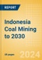 Indonesia Coal Mining to 2030 - Product Image