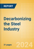 Decarbonizing the Steel Industry- Product Image