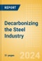 Decarbonizing the Steel Industry - Product Image