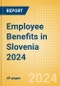 Employee Benefits in Slovenia 2024 - Product Thumbnail Image