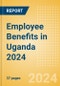 Employee Benefits in Uganda 2024 - Product Thumbnail Image