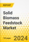 Solid Biomass Feedstock Market - A Global and Regional Analysis: Focus on Application, End-User, Source, Type, and Region - Analysis and Forecast, 2024-2034 - Product Thumbnail Image