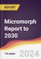 Micromorph (Tandem Cell Using a Siuc Si) Report: Trends, Forecast and Competitive Analysis to 2030 - Product Thumbnail Image