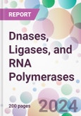 Dnases, Ligases, and RNA Polymerases Market by Dnases Application, by Ligases Application, by RNA Polymerases Application, by End-user, and by Region- Product Image