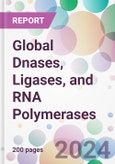 Global Dnases, Ligases, and RNA Polymerases Market by Dnases Application, by Ligases Application, by RNA Polymerases Application, by End-user, and by Region- Product Image