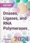 Dnases, Ligases, and RNA Polymerases Market by Dnases Application, by Ligases Application, by RNA Polymerases Application, by End-user, and by Region - Product Thumbnail Image