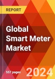 Global Smart Meter Market, By Components, By Technology, By End User, By Sales Channel, By Region - Market Size, Industry Dynamics, Opportunity Analysis and Forecast for 2024-2032- Product Image