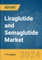 Liraglutide and Semaglutide Market Report 2024 - Product Thumbnail Image