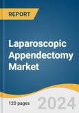 Laparoscopic Appendectomy Market Size, Share & Trends Analysis Report by Product (Medical Laparoscopic Robots, Laparoscopes), Technology (Single-Port Laparoscopy, Multi-Port Laparoscopy), End-use (Hospitals, Clinics), Region and Segment Forecasts, 2024-2030- Product Image