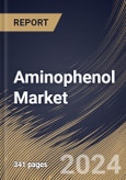 Aminophenol Market Size, Share & Trends Analysis Report By End-use Industries, By Application, By Type, By Regional Outlook and Forecast, 2024 - 2031- Product Image