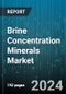 Brine Concentration Minerals Market by Type, Source, Application, Technology - Global Forecast 2025-2030 - Product Thumbnail Image